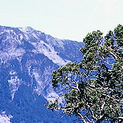 奇萊北峰